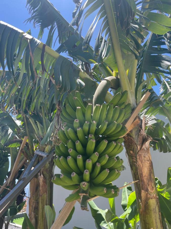 King'S Paradise Estreito Da Calheta 외부 사진